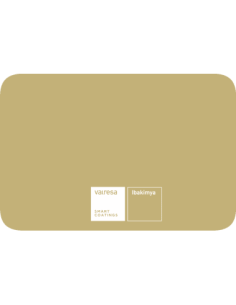 Peinture en bombe - RAL...