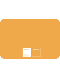 Peinture en bombe - RAL...