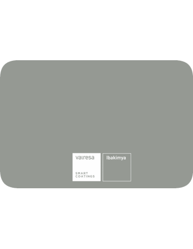 Peinture en bombe - RAL 7004 Gris Mat