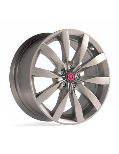 PORSCHE RRS S06 OB5 Platinum seidenmatt