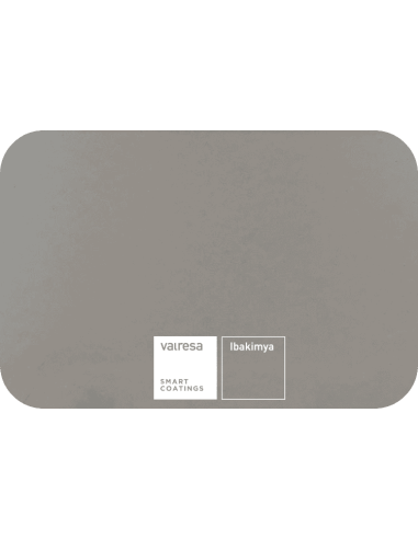 Gris EE30 Primaire Anticorrosif -...