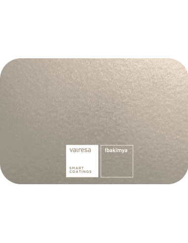 Gris Métallisé Mat - Poudre...